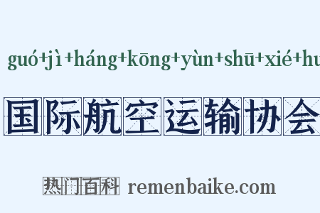国际航空运输协会是什么意思的图片